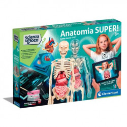 ANATOMIA