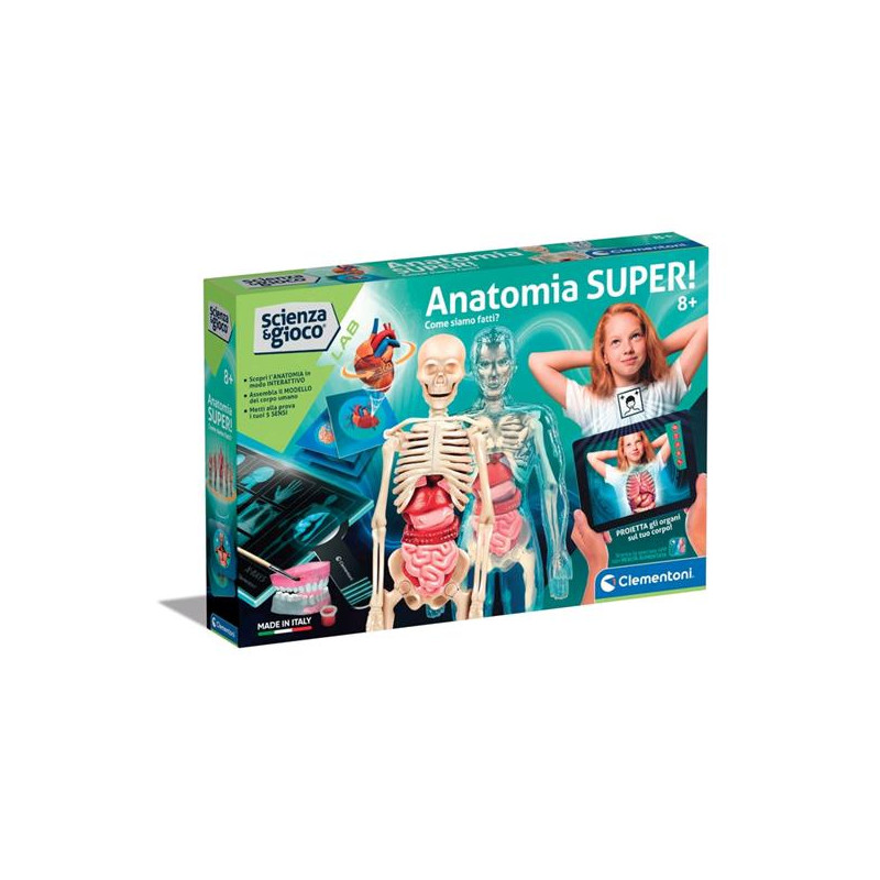 ANATOMIA